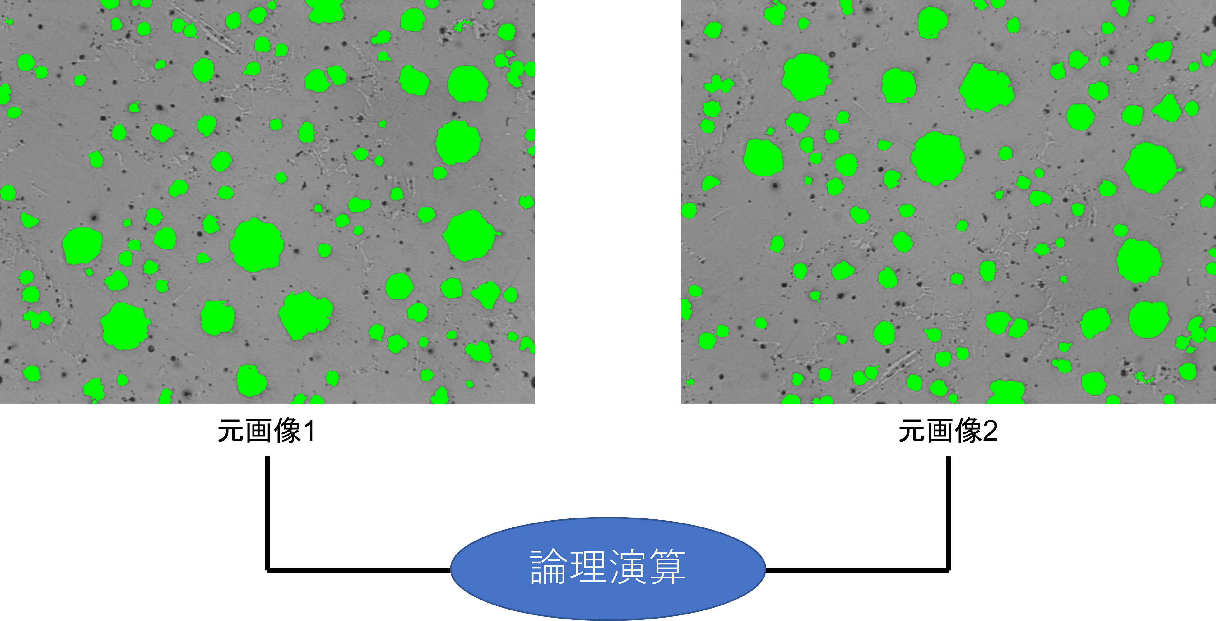 論理演算_対象画像